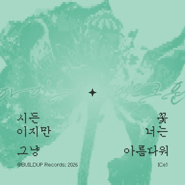 시든 꽃 이지만 너는 그냥 아름다워 앨범 커버